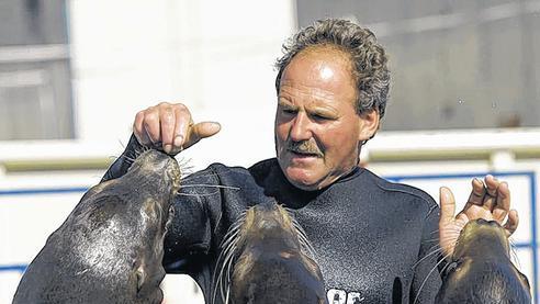 Los, Fisch her! Roland Duss und drei seiner vier Seelöwen.