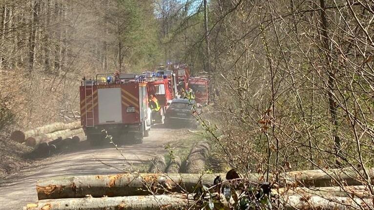 Durch den Wind wurde das Feuer über den trockenen Waldboden, Wurzelstöcke und kleine Bäume weitergetragen.&nbsp;