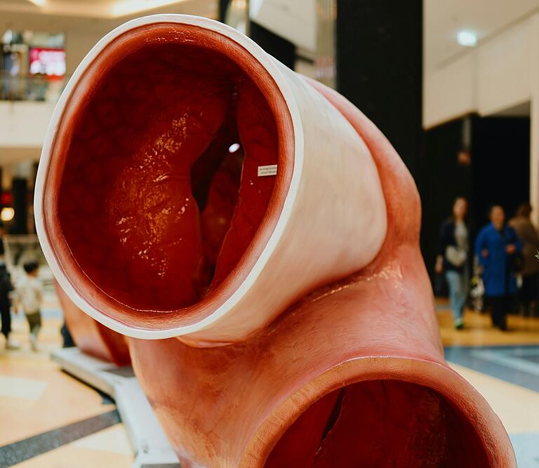 Wer schon immer mal eine Vene von innen anschauen wollte, der kann das am Samstag, 12. Oktober, beim Aktionstag in Nürnberg tun. Im Franken-Center gibt es viel Interessantes rund um Thrombose zu sehen und zu hören. Wer schon immer mal eine Vene von innen anschauen wollte, der kann das am Samstag, 12. Oktober, beim Aktionstag in Nürnberg tun. Im Franken-Center gibt es viel Interessantes rund um Thrombose zu sehen und zu hören.