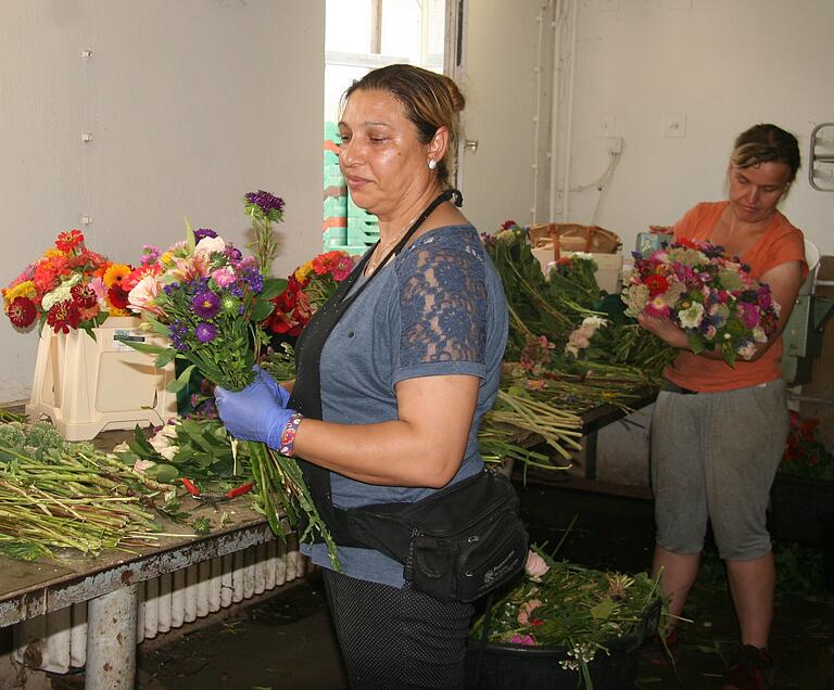 Vor dem Versand schneiden Stefana Alexandrova (links) und Steffi Lötel die Blumen zurecht und binden sie zu Sträußen.