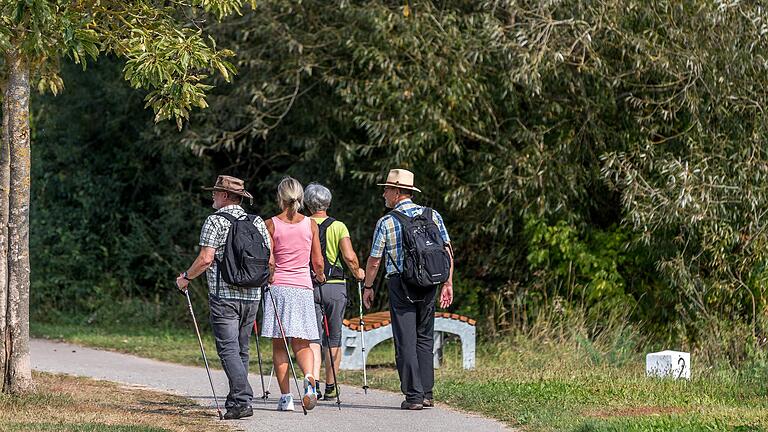 Der Weg führt an der Mainlände entlang.