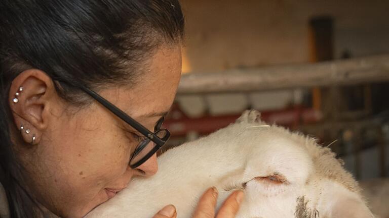 Schaf Olaf holt sich Streicheleinheiten bei Sandra Heesen, die den Lebenshof Pegasus regelmäßig ehrenamtlich unterstützt. Neben Olaf haben noch zwei weitere Schafe, Ponys, Schweine und Katzen auf dem Hof ihr Für-Immer-Zuhause gefunden.