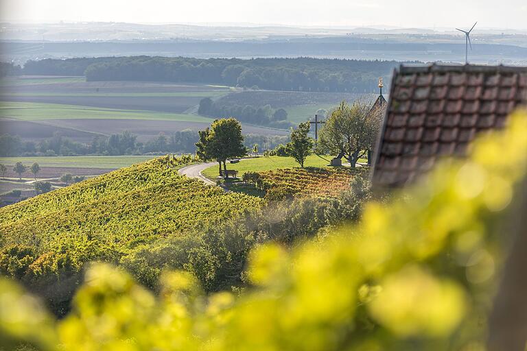 'Rund ums Hörnle in Oberschwarzach': Für die sechseinhalb Kilometer lange Tour durch die Weinberge sollte man rund zwei Stunden veranschlagen. 'Rund ums Hörnle in Oberschwarzach': Für die sechseinhalb Kilometer lange Tour durch die Weinberge sollte man rund zwei Stunden veranschlagen.