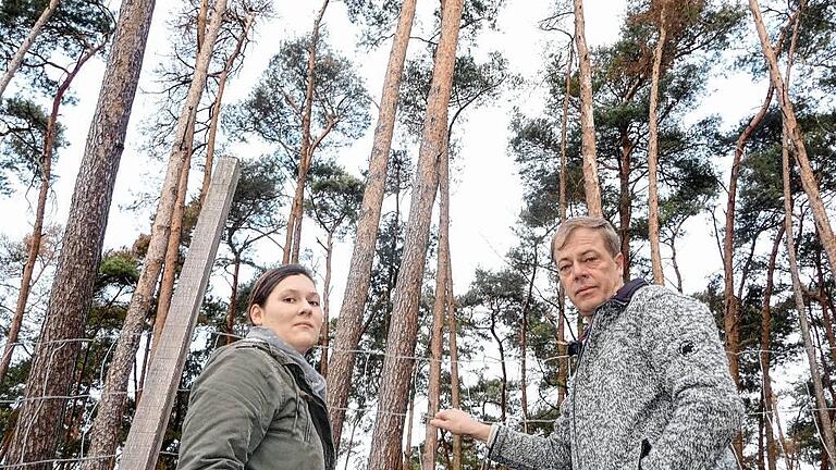 Tierparkleiter Thomas Dodenhoff und Praktikantin Anja Pötzl am Damwildgehege, wo die Maßnahme beginnt. Tierparkleiter Thomas Dodenhoff und Praktikantin Anja Pötzl am Damwildgehege, wo die Maßnahme beginnt.