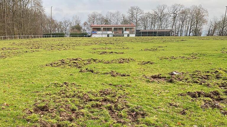 Umgepflügt: Wildschweine haben den Fußballplatz des SV Unteraltertheim zerstört. Umgepflügt: Wildschweine haben den Fußballplatz des SV Unteraltertheim zerstört.
