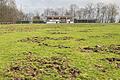 Umgepflügt: Wildschweine haben den Fußballplatz des SV Unteraltertheim zerstört.