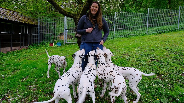 Fixiert aufs Frauchen: Joanna Sauerer im heimischen Garten, umringt von ihrem Dalmatiner-Quintett. Fixiert aufs Frauchen: Joanna Sauerer im heimischen Garten, umringt von ihrem Dalmatiner-Quintett.