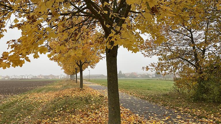 Naturverbunden: Das geplante Baugebiet 'Westlich des Lebenhaner Weges' soll ein Leuchtturmprojekt werden. Eine klimaneutrale Strom- und Wärmeversorgung für die rund 48 Bauplätze soll das Wohngebiet zum Vorzeige-Projekt machen.