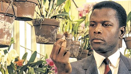 Rassendiskriminierung: Sidney Poitier in &bdquo;In der Hitze der Nacht&ldquo; aus dem Jahre 1967.