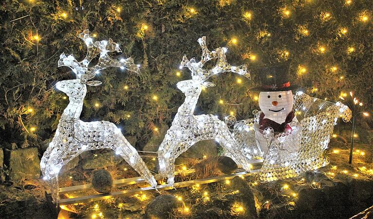 Drinnen und draußen ist bei Familie Fasel in Marktbreit nahezu alles auf Weihnachten ausgerichtet.