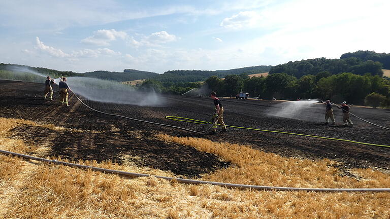 Neun Feuerwehren mit 120 Einsatzkräften bekämpften am Donnerstagnachmittag einen großen Flächenbrand bei Roßstadt.