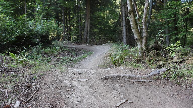 Die schrägen Anliegerkurven sind ein Element bei der Abfahrt auf dem Flowtrail. Die schrägen Anliegerkurven sind ein Element bei der Abfahrt auf dem Flowtrail.