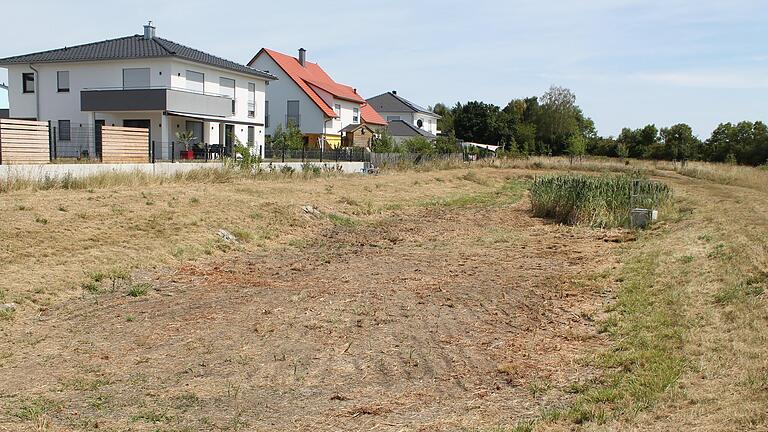 Das Regenüberlaufbecken am Südrand des Gerolzhöfer Neubaugebiets 'Am Nützelbach I' hat schon lange kein Wasser mehr gesehen. Rund um den Überlauf aus Beton kämpfen noch einige Schilfhalme ums Überleben.