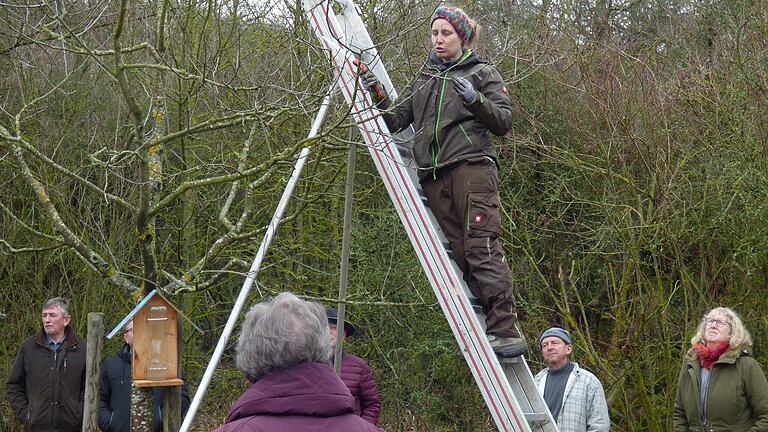 Jessica Tokarek beim Schnitt am Apfelbaum.