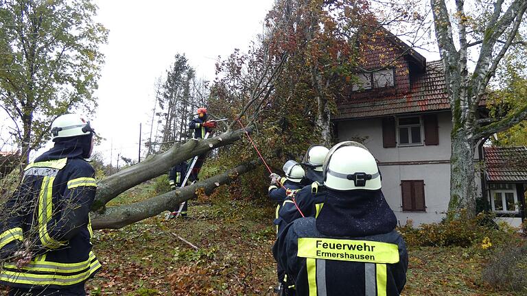 Eine 60 Jahre alte Buche mit zwei Stämmen fiel durch den Sturm auf ein Wohnhaus in Ermershausen. Eine 60 Jahre alte Buche mit zwei Stämmen fiel durch den Sturm auf ein Wohnhaus in Ermershausen.
