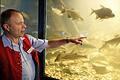 Über 40 Fische in 30 Aquarien kann man bei der Mainfranken-Messe in Halle 11 bestaunen.