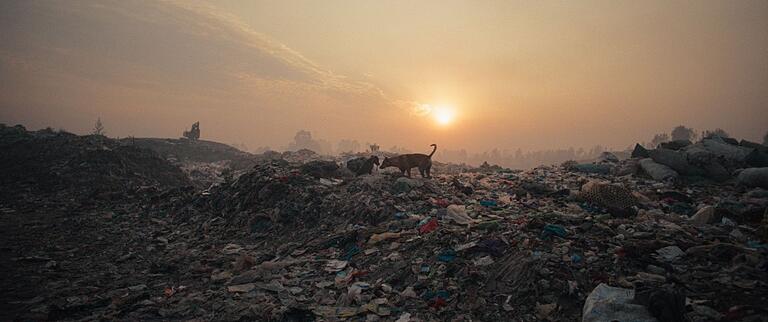 Plastik ist allgegenwärtig: in Flüssen und Meeren, in der Luft, im Boden und sogar in unseren Körpern. Der Film 'Plastic Fantastic' gewährt Einblicke in das Denken und Handeln der Plastikindustrie und erkundet mögliche Wege zur Bewältigung dieser Krise Plastik ist allgegenwärtig: in Flüssen und Meeren, in der Luft, im Boden und sogar in unseren Körpern. Der Film 'Plastic Fantastic' gewährt Einblicke in das Denken und Handeln der Plastikindustrie und erkundet mögliche Wege zur Bewältigung dieser Krise