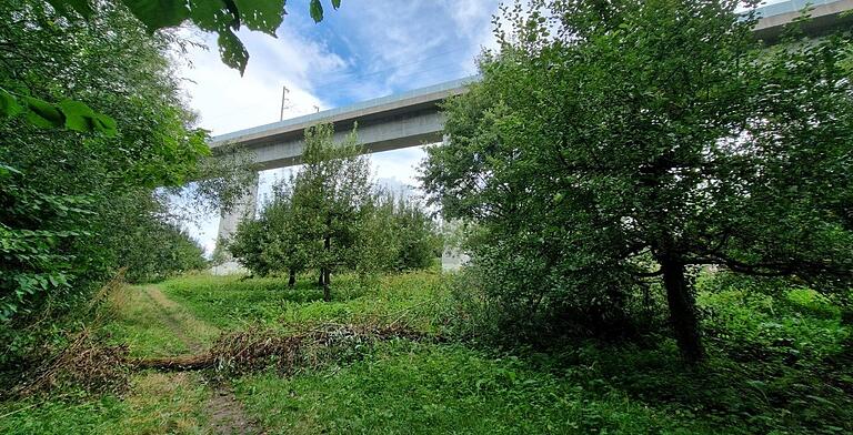 Im Bereich des Feldweges links entlang dem Mainufer ist lauf einer Länge von rund 60 Metern ein zweigeteilter Fahr- und Fußweg mit einer Breite von insgesamt 5,0 Meter in geschotterter Bauweise vorgesehen. Der Fahr-Weg dient zur Montage und Demontage der Skateranlage in Hochwasserzeiten des Maines.