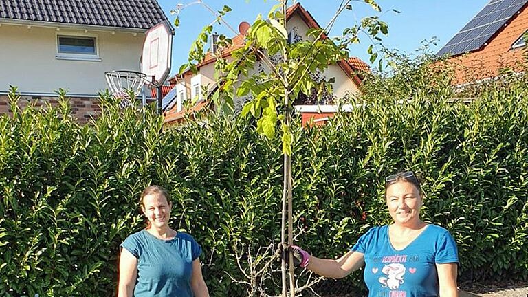 Christine Flügge und Katja Walter-Helk beim Pflanzen des Bienenbaumes in Erbshausen am 30. September 2022.