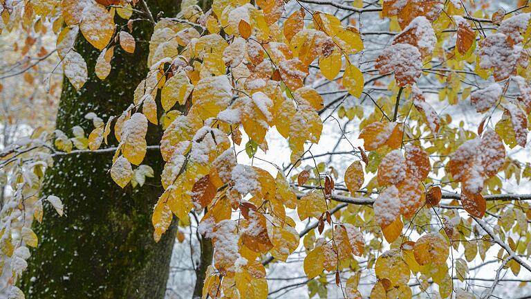 Schnee kann harmlos aussehen, wie hier – er kann aber auch zu Katastrophenzuständen führen.&nbsp;