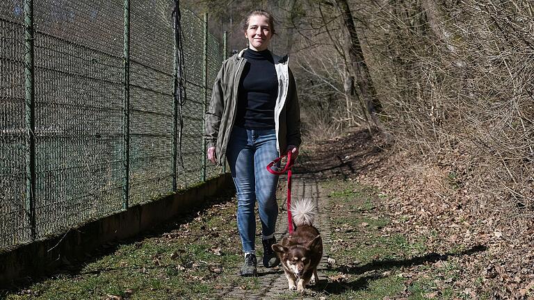 Mischling Momo läuft manierlich an der Leine. Mischling Momo läuft manierlich an der Leine.