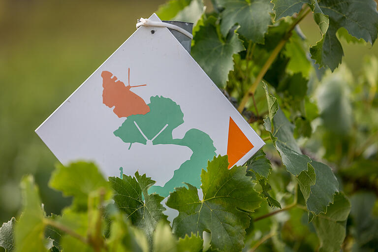 Das Tourenlogo ist im Verlauf der Route leider nicht immer so gut erkennbar wie hier auf diesem Schild. Das Tourenlogo ist im Verlauf der Route leider nicht immer so gut erkennbar wie hier auf diesem Schild. 