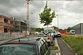 Im Industriegebiet Hirschfeld im Norden von Karlstadt stehen die ersten Gebäude. Links das Bürohaus für die Mainfränkische Teuhand, rechts die Halle von Bauelemente Sauer.&nbsp; &nbsp;