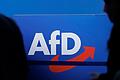 Parteilogo der AfD       -  Parteilogo der AfD