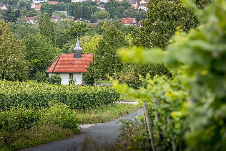 Die Weinbergskapelle 'Maria an der Kelter' wurde 1994 errichtet und markiert den Ausgangspunkt der Wandertour ' H6 - Blauer Turm Himmelstadt'.&nbsp;