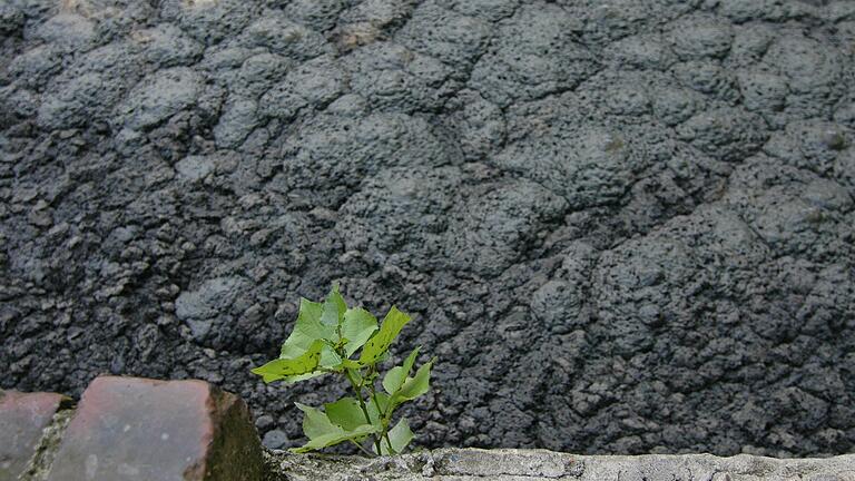 Künftig soll Klärschlamm vermehrt getrocknet und verbrannt werden.&nbsp;