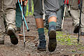 Wandern
