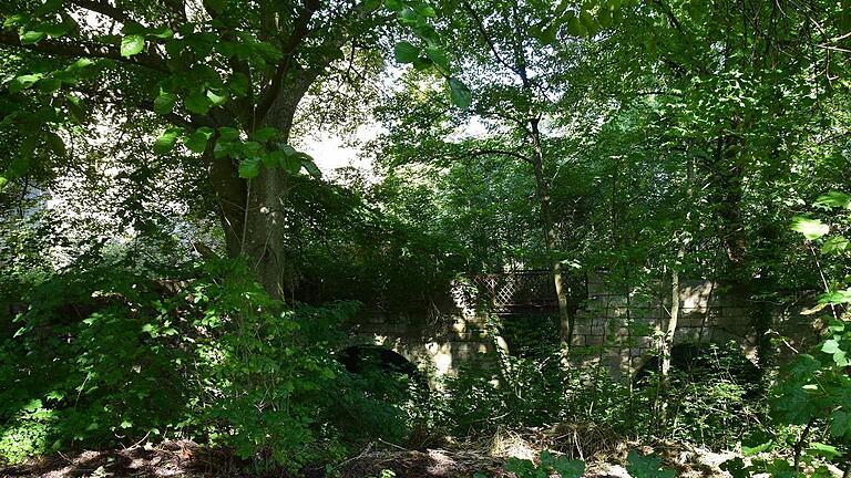 Die Natur erobert sich die Brücke, die einst über den Wassergraben zum Schloss Wetzhausen führte.