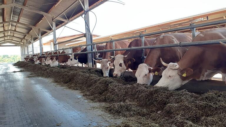 Eines der Ziele bei der Lehrfahrt des Landwirtschaftsamtes und des Vereins Landwirtschaftlicher Fachbildung (VLF) ist ein Milchviehbetrieb.