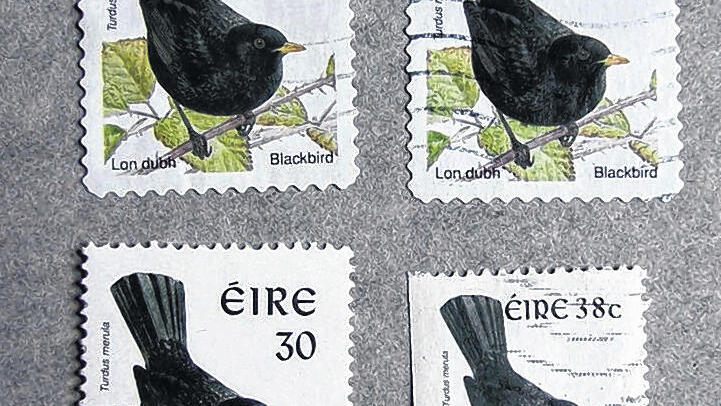 Gleiches Motiv, andere Marke: 25 unterschiedliche Marken mit dem Amsel-Motiv hat Bernd Wirthmann gezählt.