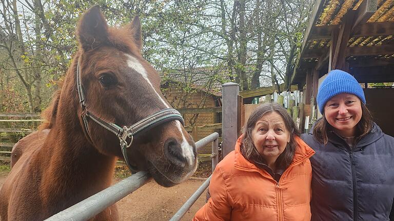 Eventuell hat ein Wolf in Bad Kissingen-Hausen ein Pferd angegriffen - Jutta und Stefanie Maessen geben sich alle Mühe, positiv zu denken - um ihr Pferd Jimmy haben sie große Angst. Er wurde schwer verletzt. Eventuell hat ein Wolf in Bad Kissingen-Hausen ein Pferd angegriffen - Jutta und Stefanie Maessen geben sich alle Mühe, positiv zu denken - um ihr Pferd Jimmy haben sie große Angst. Er wurde schwer verletzt.