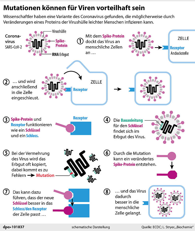 Hoch ansteckend: Mutiertes Coronavirus erreicht Landkreis Kitzingen Hoch ansteckend: Mutiertes Coronavirus erreicht Landkreis Kitzingen