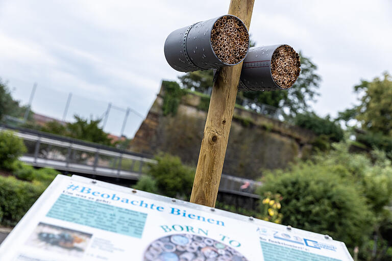 Nisthilfen für Bienen im Kräutergarten der alten Landesgartenschau in der Zellerau. Nisthilfen für Bienen im Kräutergarten der alten Landesgartenschau in der Zellerau.