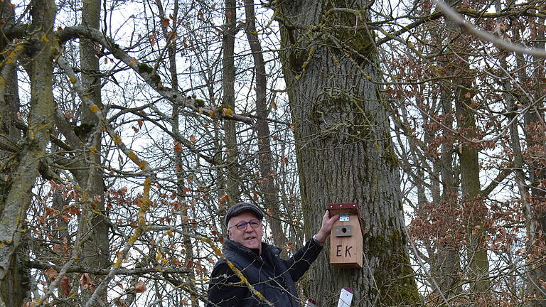 Entlang des Feldweges vom Hafenlohrer Weg in Richtung Gaisberg hängen Eduard Kunz und sein Helfer Gottfried Röder Nistkästen auf.