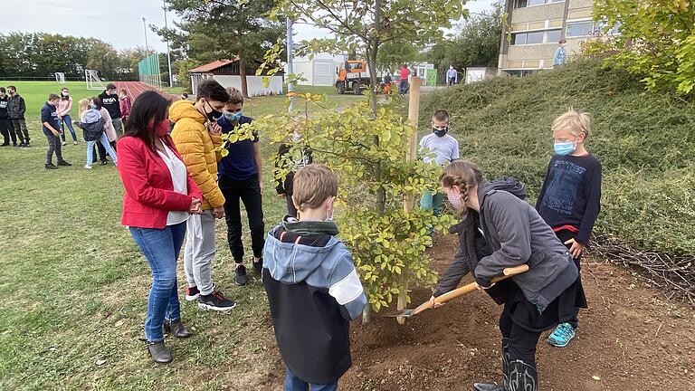 Die Baumpflanzaktion der Volksschule am Sonnenteller zum 30. Jahrestag der Wiedervereinigung. Die Baumpflanzaktion der Volksschule am Sonnenteller zum 30. Jahrestag der Wiedervereinigung.