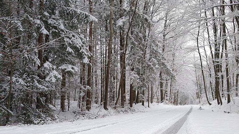 Aufgenommen wurden die Schneebilder im Steigerwald am 18.01.2023 am Vormittag zwischen Gräfenneuses und Ebersbrunn, Weg zum Trimm-Dich-Pfad Parkplatz.