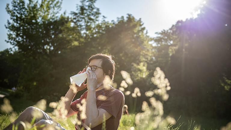 Heuschnupfen.jpeg       -  Vor allem Gräser-Pollen machen Allergikern aktuell zu schaffen.