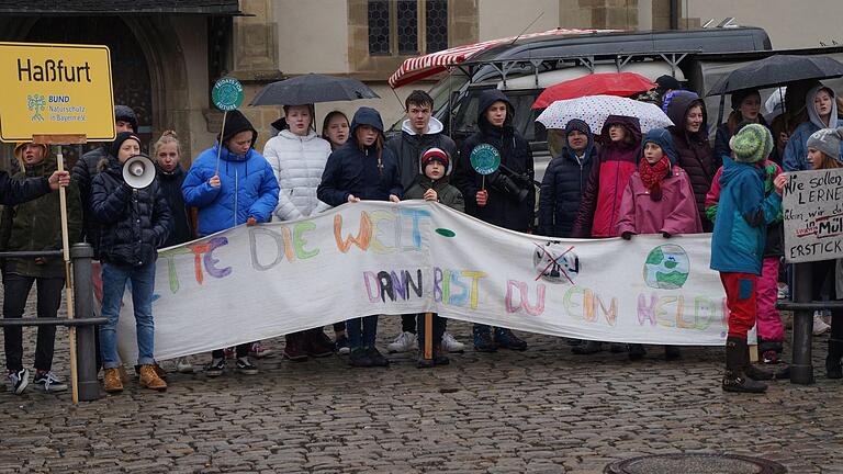 'Rette die Welt, dann bist du ein Held', war auf einem Banner zu lesen. Das Vertrauen in die Erwachsenen haben viele der jungen Demonstranten verloren.