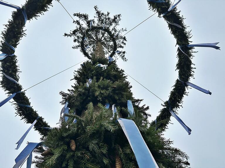 Knapp 30 Meter misst der Planbaum in Sulzfeld. Der Stamm ist mit einem zwölf Meter langen Fichtenkranz geschmückt. Knapp 30 Meter misst der Planbaum in Sulzfeld. Der Stamm ist mit einem zwölf Meter langen Fichtenkranz geschmückt.
