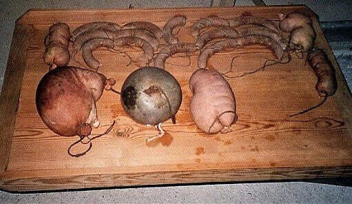 Der gemeinsame Schlachttag war ein Höhepunkt und ein Festtag für den gesamten Stammtisch. Der gemeinsame Schlachttag war ein Höhepunkt und ein Festtag für den gesamten Stammtisch.