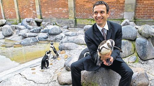 Erfurter Zooleiter übernimmt Wilhelma       -  (th)   Der Erfurter Zooleiter Thomas Kölpin übernimmt zum Jahreswechsel den Stuttgarter Zoo. &bdquo;Die Wilhelma ist sehr renommiert, aber wir werden hier auch einige Dinge erneuern müssen&ldquo;, sagte der 44-Jährige bei der Vorstellung am Montag in Stuttgart. In Erfurt konnten sich weder die Stadt noch der Zoopark zunächst zu einer möglichen Nachfolge äußern. Kölpin ist seit 2009 Chef in Erfurt. In Stuttgart stehe eine neue Elefantenanlage dringend an, außerdem schwebe ihm eine modernere Außenanlage für die Panzernashörner vor, sagte Kölpin. Im Zoopark Erfurt habe er mehrere neue Tier- und Freizeitanlagen realisiert, sagte Kölpin. Die Besucherzahlen seien während dieser Zeit von 350 000 auf 500 000 gestiegen. Kölpins Vorgänger in Stuttgart, Dieter Jauch, hört zum Jahresende aus Altersgründen auf. Aufgewachsen ist der gebürtige Hamburger Kölpin in der Hansestadt, wo er auch studierte. Nach seiner Promotion in Bonn war er zunächst in Hamburgs Tierpark Hagenbeck tätig, bevor er vor rund vier Jahren nach Erfurt wechselte. &bdquo;Wir freuen uns, eine so erfahrene und kompetente Persönlichkeit für diese wichtige Aufgabe gefunden zu haben&ldquo;, sagte der Stuttgarter Finanz-Staatssekretär Ingo Rust (SPD). Kölpin habe sich gegen rund 30 Mitbewerber aus dem In- und Ausland durchgesetzt. Für die neue Aufgabe will der Hanseat mit seiner Ehefrau, den beiden Töchtern und seiner Königspython-Zucht aufs Wilhelma-Gelände ziehen.