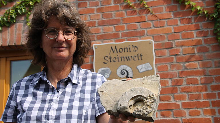 Monis Steinwelt       -  Monika Steger hat in Schaippach ein kleines Museum mit Fossilien eröffnet: 'Monis Steinwelt'.