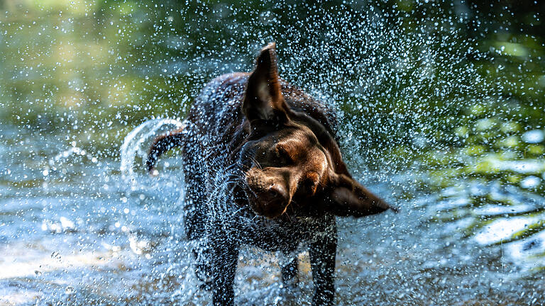 Das Thema 'Wasser' hat sich diesmal der Fotostammtisch Gerolzhofen vorgenommen.