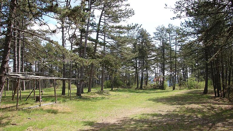 Lediglich ein Gerüst aus Schwarzkiefer-Stangen (links) zeugt während des Jahres auf einer Lichtung im Schwarzkiefernwald in Nachbarschaft des 'Käppele' (im Hintergrund) davon, wohin es die Besucher seit fünf Jahrzehnten am Vatertag nahezu magisch hinzieht. Wegen der Pandemie musste das traditionelle Bergfest am 'Käppele' auf dem Volkenberg erneut abgesagt werden.