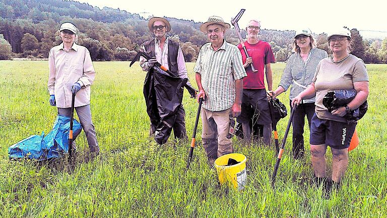 Freiwillige, die das giftige Wasserkreuzkraut im Naturschutzgebiet Sinngrund bekämpfen. Freiwillige, die das giftige Wasserkreuzkraut im Naturschutzgebiet Sinngrund bekämpfen.