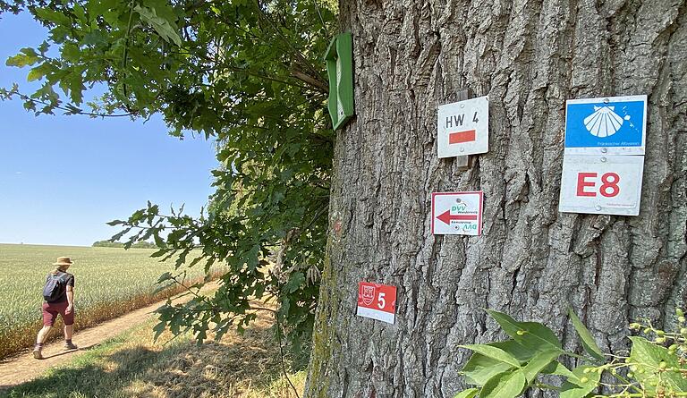  Der Rundwanderweg W5 verläuft teilweise auf dem mittelfränkischen Jakobsweg. Auch andere Wanderwege sind dort zu finden. Der Rundwanderweg W5 verläuft teilweise auf dem mittelfränkischen Jakobsweg. Auch andere Wanderwege sind dort zu finden.